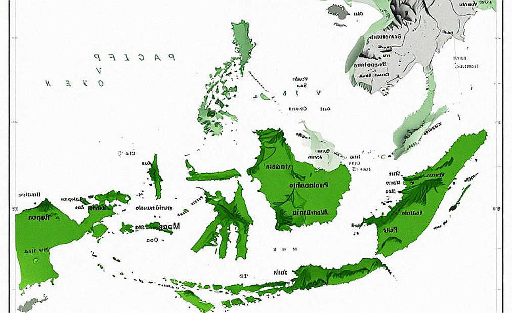 Hồ sơ trống N/A và nỗi đau thể thao Việt Nam: Khi không đo lường, cầu thủ trả giá Hồ sơ trống N/A và nỗi đau thể thao Việt Nam: Khi không đo lường, cầu thủ trả giá